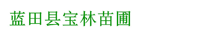蓝田县宝林苗圃